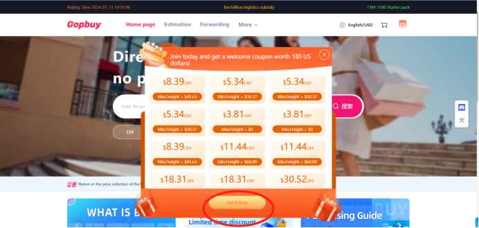 Read the coupon conditions — official tutorial interface